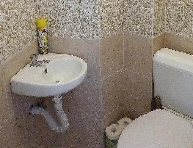 Central Apartment